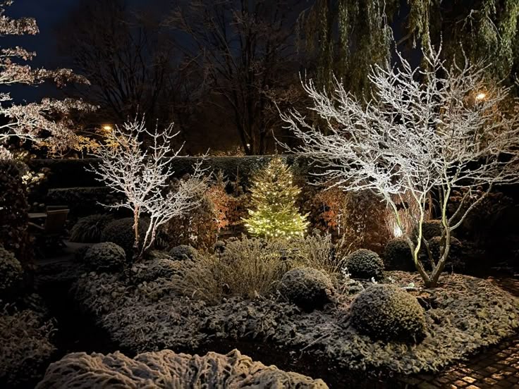 Botanichka's tweet image. Создаём волшебное настроение: декоративная подсветка в зимнем саду 💡❄️

#ландшафтный_дизайн