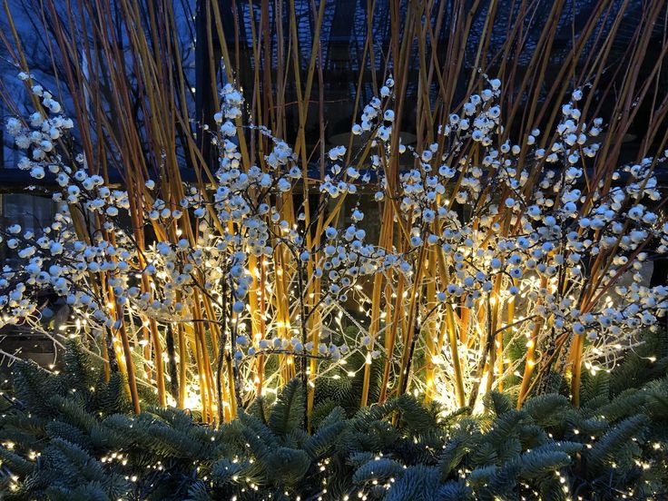 Botanichka's tweet image. Создаём волшебное настроение: декоративная подсветка в зимнем саду 💡❄️

#ландшафтный_дизайн