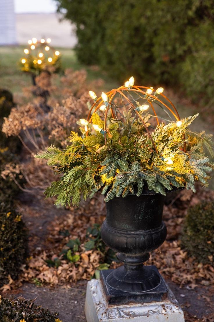 Botanichka's tweet image. Создаём волшебное настроение: декоративная подсветка в зимнем саду 💡❄️

#ландшафтный_дизайн