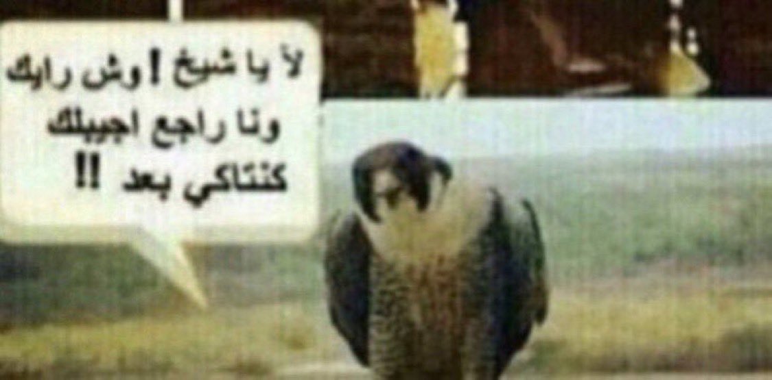 وصلنا 2026 والناس للآن مب مستوعبه الرياكشن 

كل ماقالته قالو لا مانبي شكرًا ، فككتوها