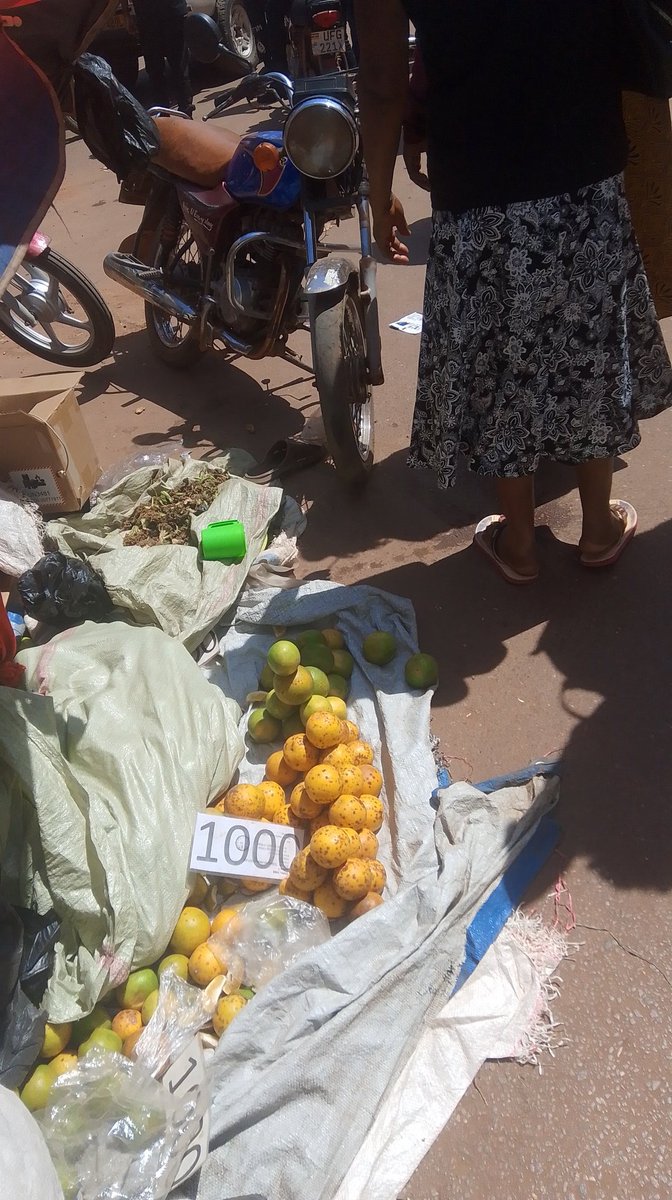 jbasiimwe's tweet image. KAMPALA CITY
I can't believe the state in which Kampala city is governed.All businesses are dying slowly because of batembeyi working on streets.We pay taxes,pay as you earn , licences,income tax  but all in vain what we have in shops is what hawkers are selling outside our shops
