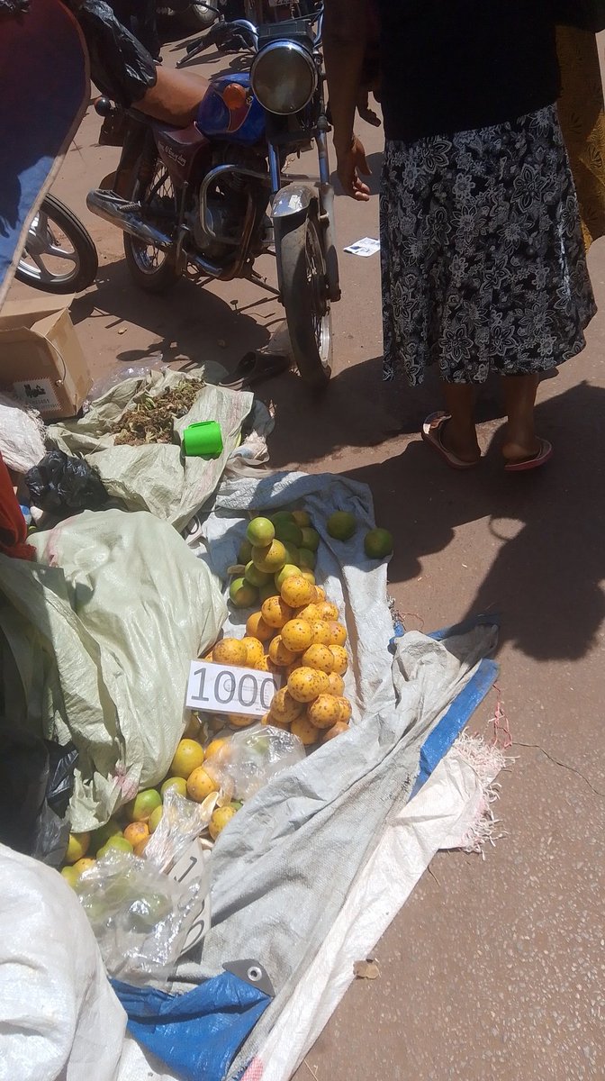jbasiimwe's tweet image. KAMPALA CITY
I can't believe the state in which Kampala city is governed.All businesses are dying slowly because of batembeyi working on streets.We pay taxes,pay as you earn , licences,income tax  but all in vain what we have in shops is what hawkers are selling outside our shops