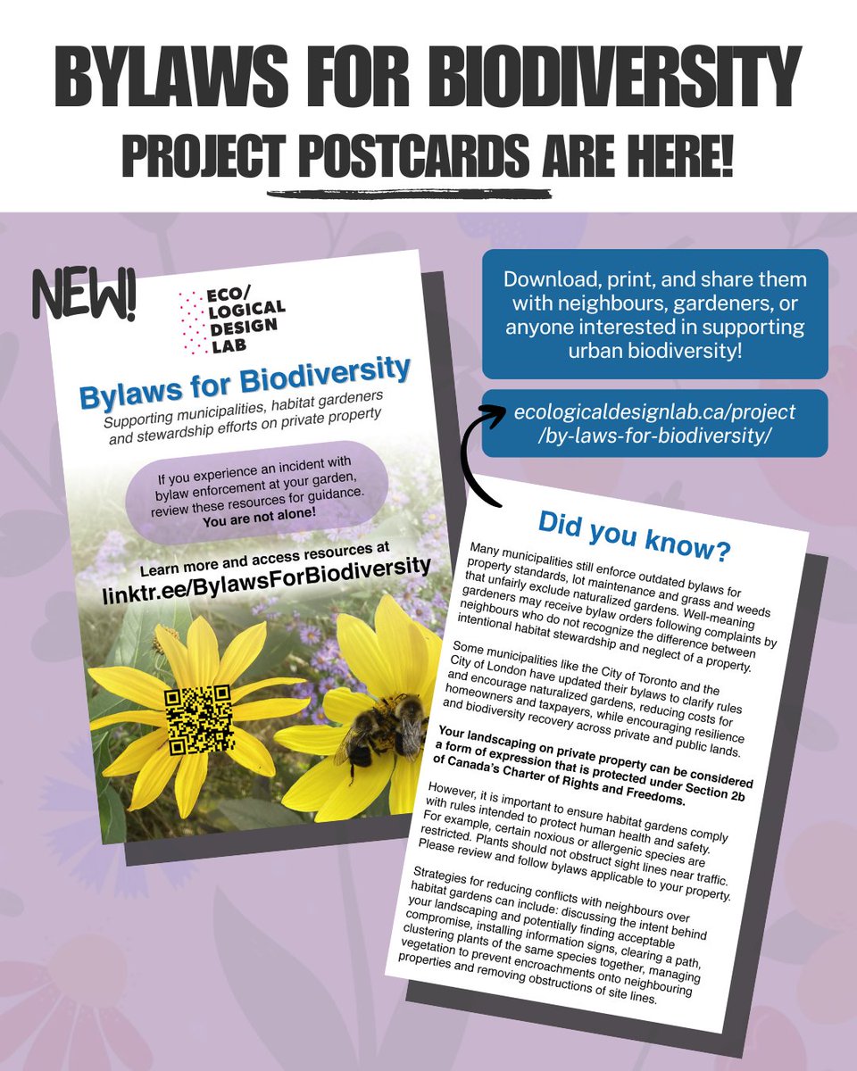 EcoDesign Lab tweet media