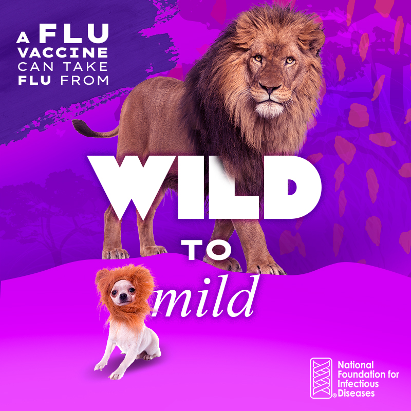 WhyImmunize's tweet image. Flu can be wild, but a flu vaccine can help tame severe symptoms. #GetVaccinated to help #FightFlu