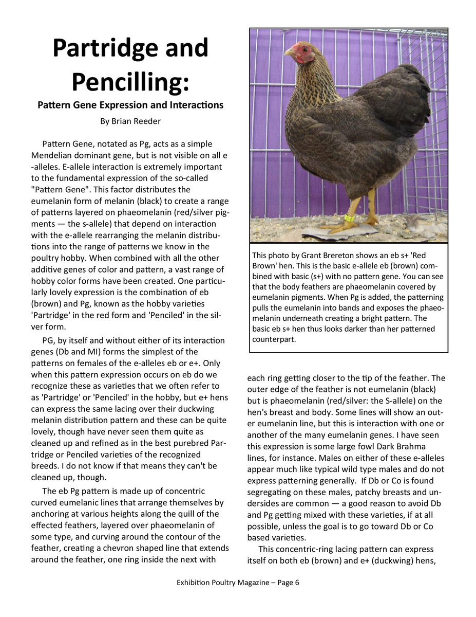 PoultryMagazine's tweet photo. https://t.co/iCc5E6vZ9a