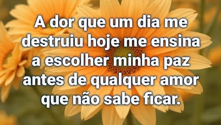 Já foi tarde,vida que segue...
#Jáfoitarde