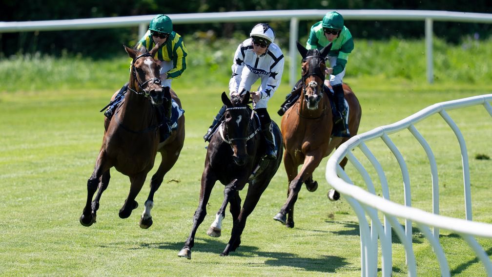 Nick Bradley Racing tweet media