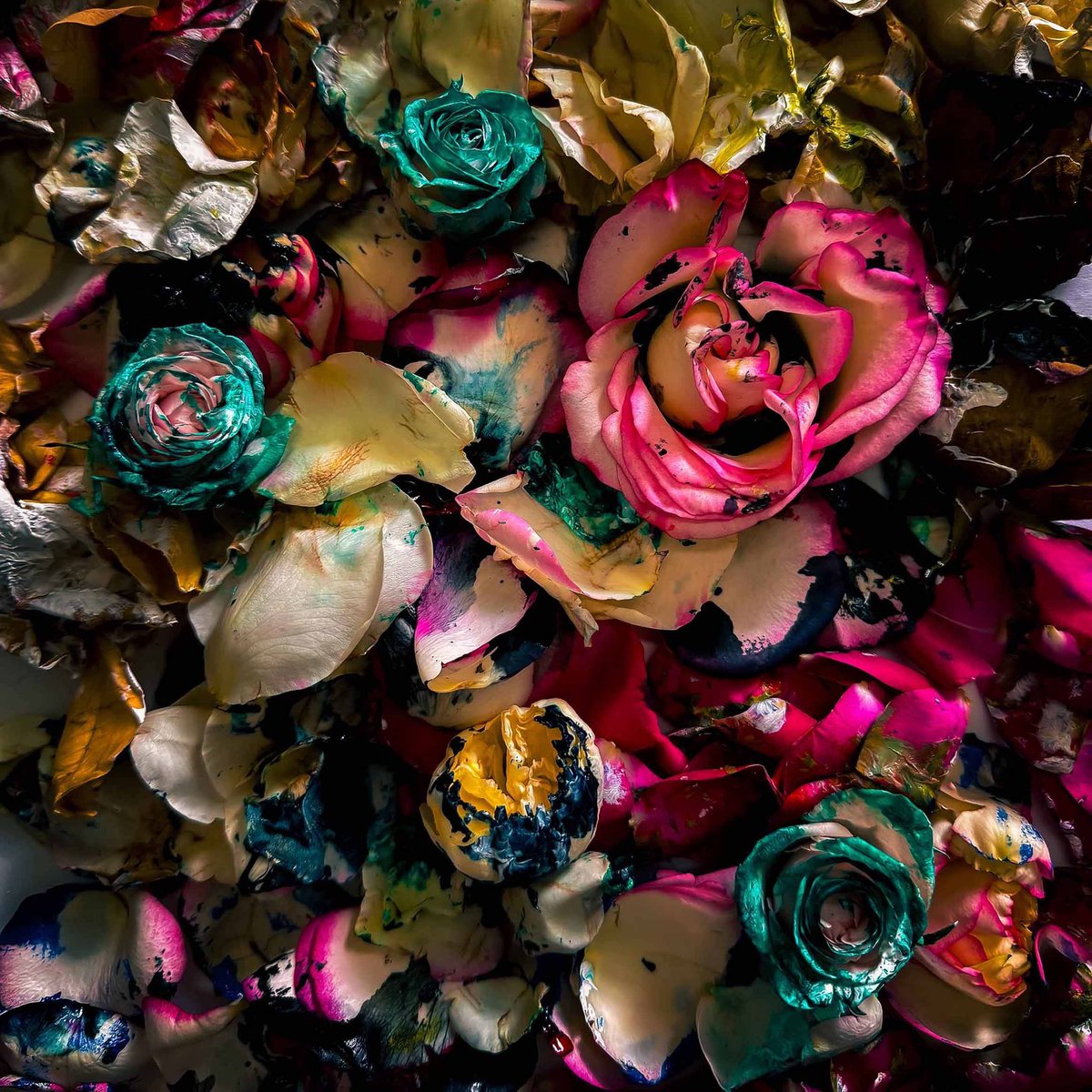 Thank you Gamma for including my new collection in your newsletter! 

Full article below along side stellar artists releasing work soon too. 

💎 Release details on my pinned