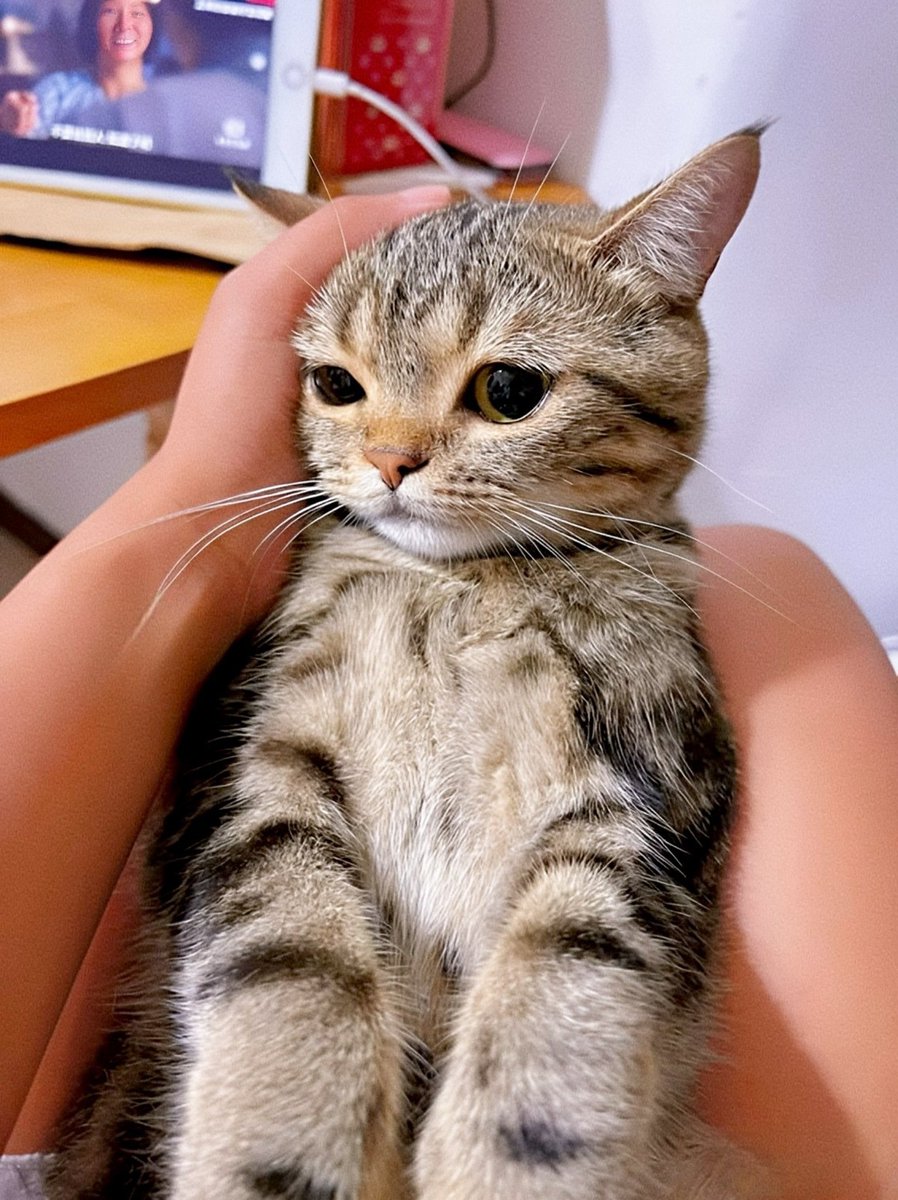 comfortcafex's tweet image. Name him whatever you last ate 😭