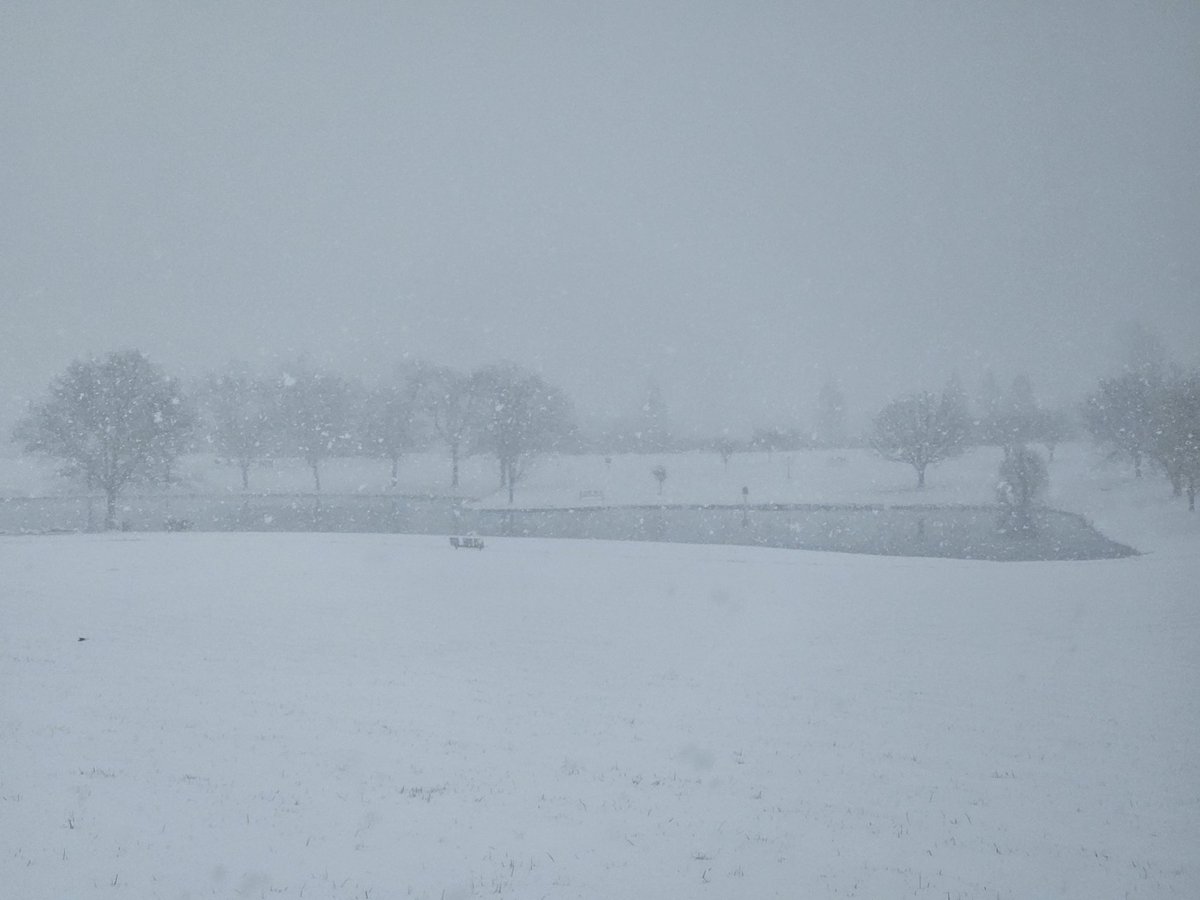 Daiko | Space Anomaly VTuber tweet media