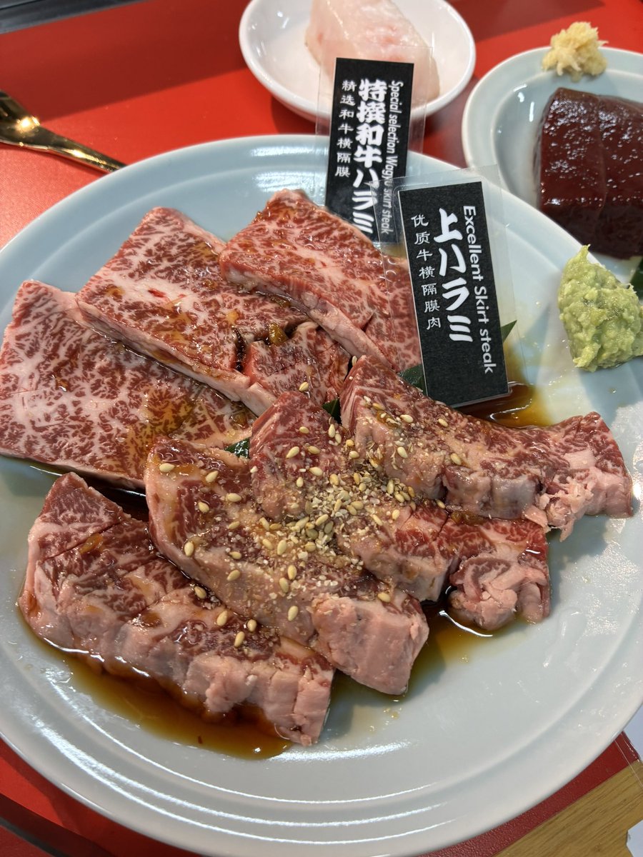 新しくオープンした心斎橋にある焼肉・藤もとへ。
特撰和牛ハラミのサシが美しすぎて、
焼く前からテンション上がるやつ…🤤✨
プリッと濃厚なレバーも絶品で、
ごま塩と特製タレがまた合う。

肉好きはぜひ一度行ってみてください！

おか
#和牛 #ハラミ
#心斎橋ディナー #新店グルメ #肉スタグラム