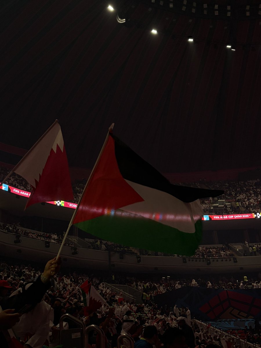 mostlyydan's tweet image. 💫