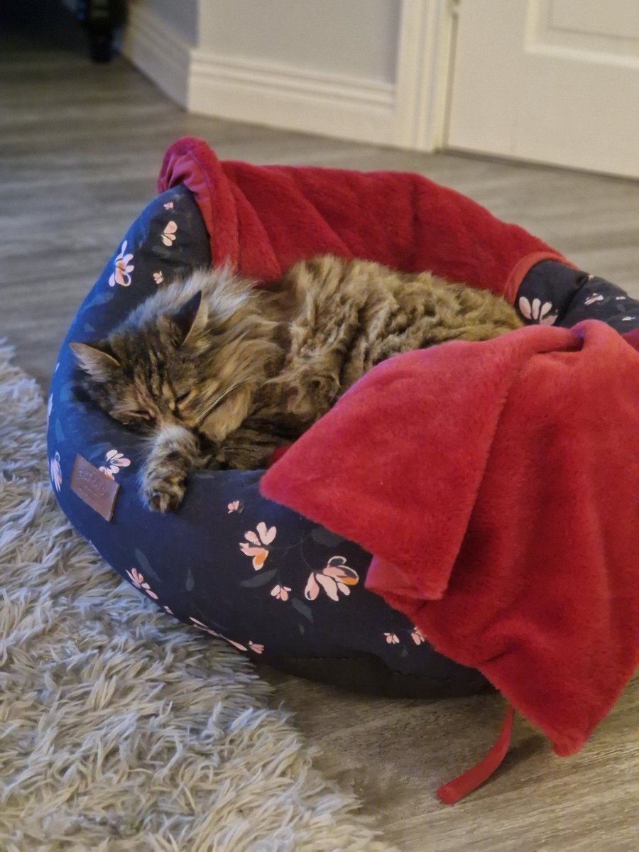 Deirdre Doyle tweet media