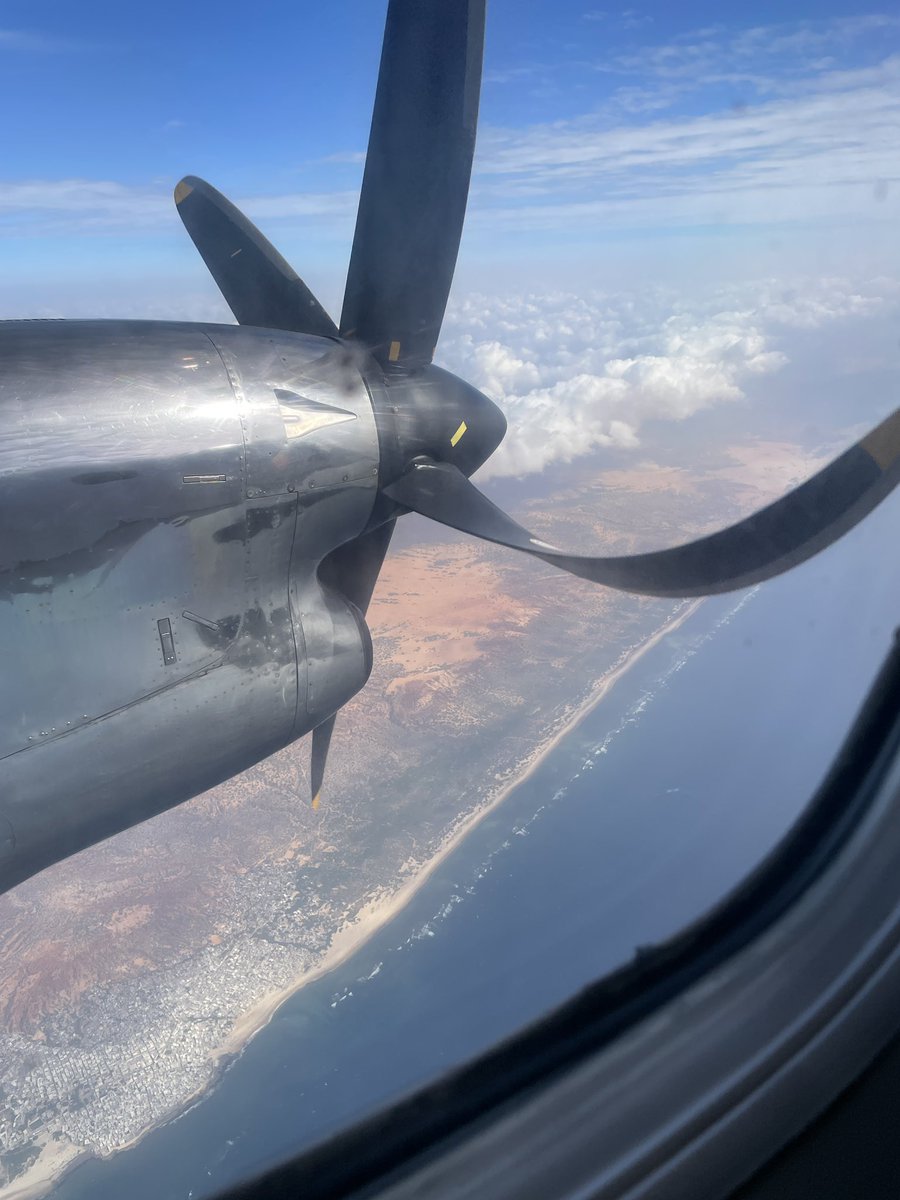 Eleanor Sanders tweet media