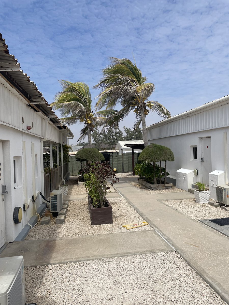 Eleanor Sanders tweet media