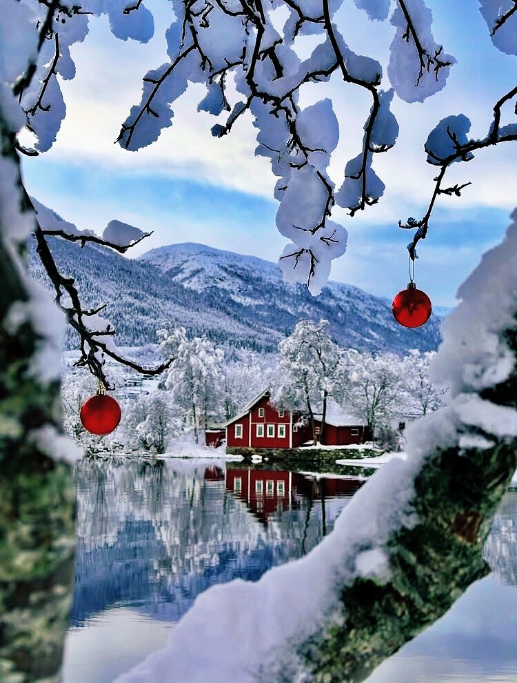 Hello dear December, 

I wish you are a gentle month for all of us. A month that brings a lot of love, joy, hope and peace to everyone's life ♥️❄️♥️

#naturelovers #norway #unnida #love