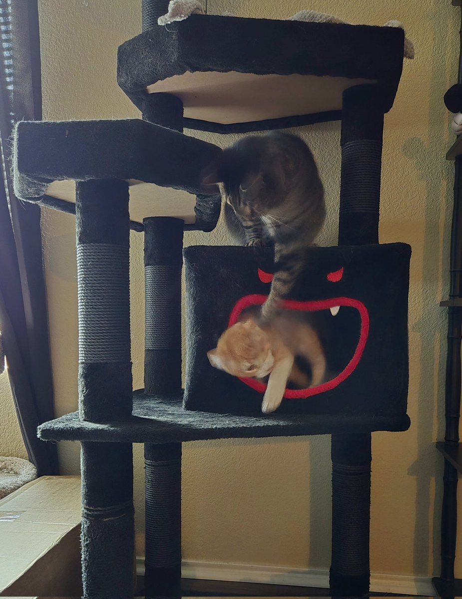 brothers