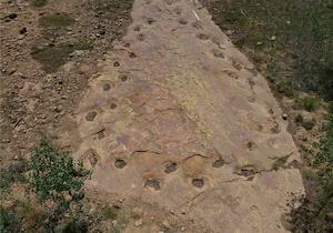 EarthArchivesHQ's tweet image. An analysis of a unique looping trail of ancient footprints in the United States reveals the dinosaur which made it may have been limping.

eurekalert.org/news-releases/…

#fossils #paleontology
