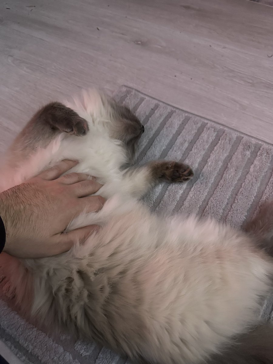 HMB Symantec tweet media