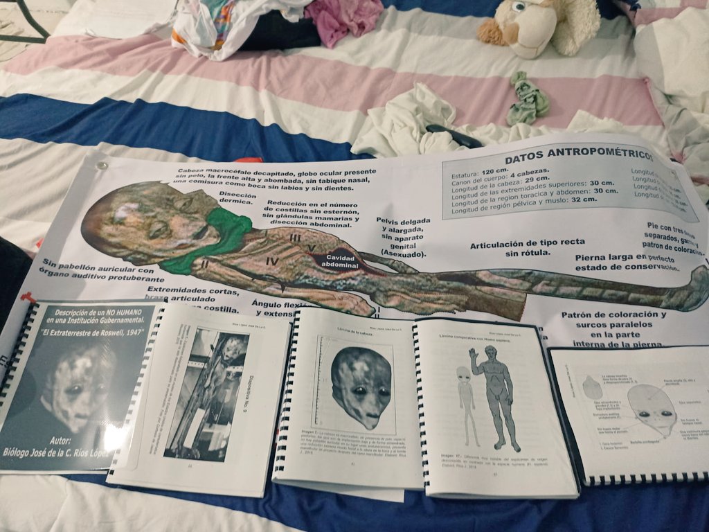 The Roswell alien 1947.
Biologist José de la C. Ríos López