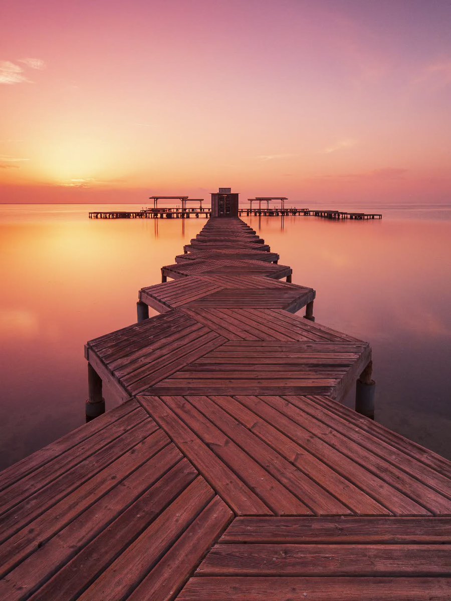 PhotoClub tweet media