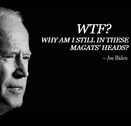 RainbowProgress's tweet image. WTF is this MAGAt still obsessed with Biden and the false MAGAt Cult conspiracy theories about Biden? He&apos;s been out of office for 11 months!