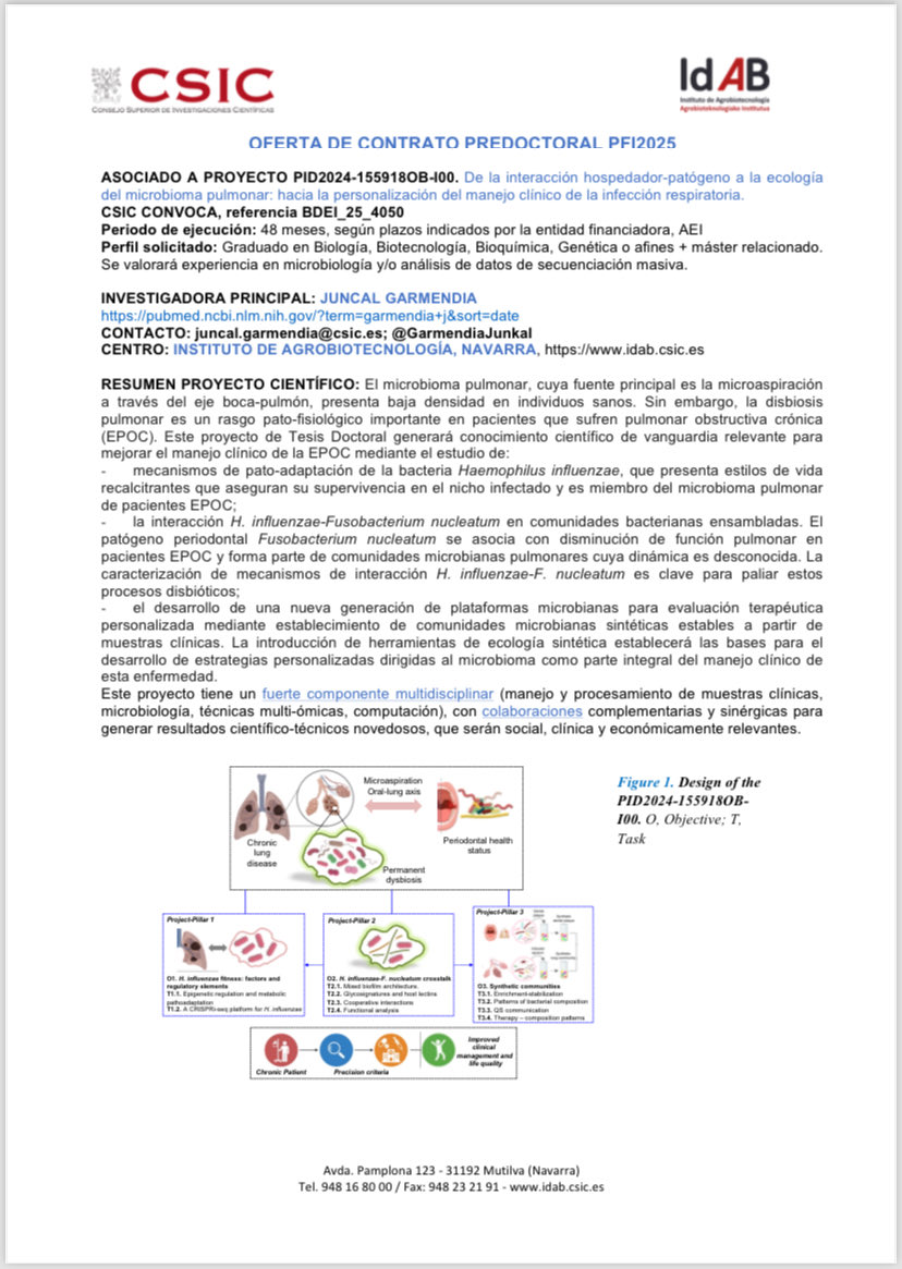 Interesad@ en ecología microbiana, disbiosis, infección pulmonar e ingeniería microbiana?
Se oferta contrato predoctoral en nuestro laboratorio, en <a href="/IdAB_CSIC/">Instituto de Agrobiotecnología - CSIC</a> en Navarra, en el marco del proyecto PID2024-155918OB-I00, contacta con <a href="/GarmendiaJunkal/">Junkal Garmendia</a> en juncal.garmendia@csic.es