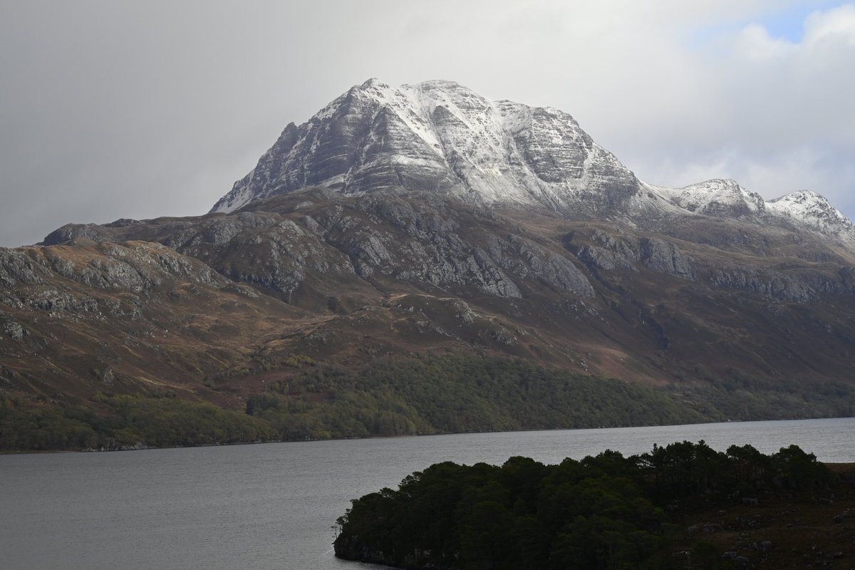 Julia Stanley tweet media