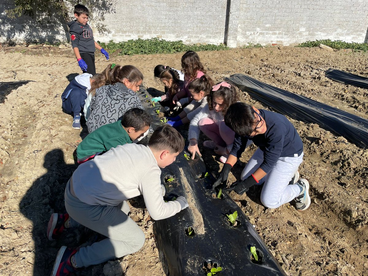 CEIP Francisco Alcalá tweet media