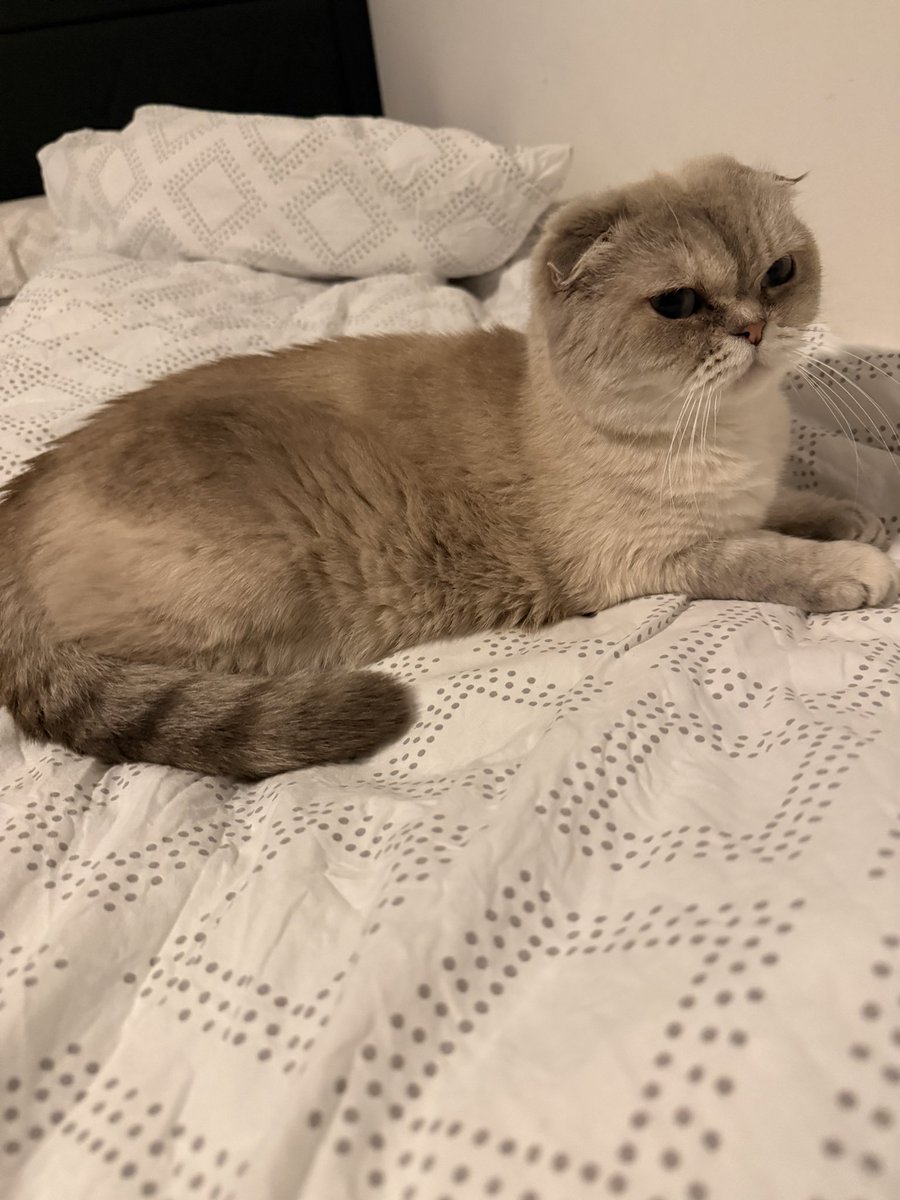 HMB Symantec tweet media