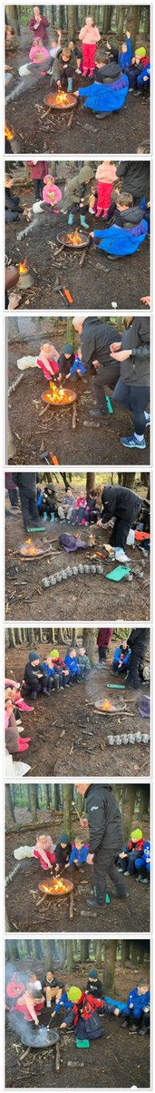 StAndrewsCumb's tweet image. Bushcrafting withP5