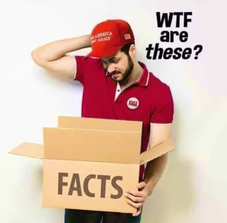 RainbowProgress's tweet image. What so-called &quot;facts&apos; are we avoiding? You have ZERO facts, Lying MAGAt. 🤣