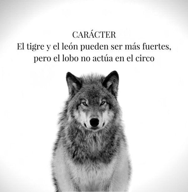 Inthezonerecord's tweet image. 