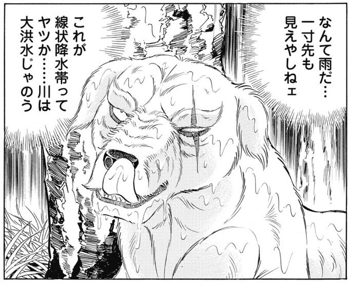 nawokikarasawa @soOuR12EJrvSBUY 高橋よしひろ先生？