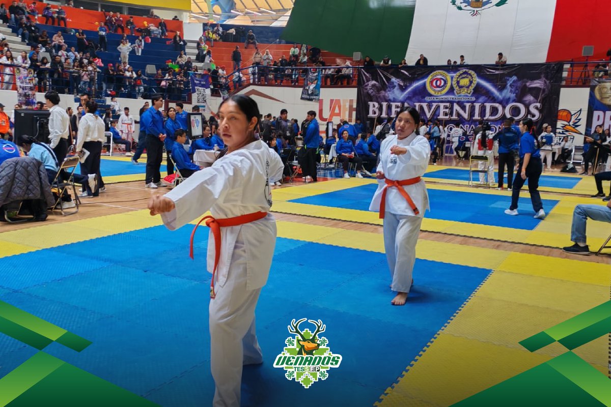 TESSFP_Edomex's tweet image. 🥋✨ ¡Orgullo TESSFP!
Felicitamos a nuestras y nuestros taekwondoínes por su gran desempeño en el 56° Campeonato Nacional MoonMoo Won – Moo Duk Kwan.
🏅 12 medallas que reflejan disciplina, esfuerzo y pasión.
¡Gracias por poner en alto al #TESSFP! 💚🔥
#OrgulloTESSFP #Taekwondo