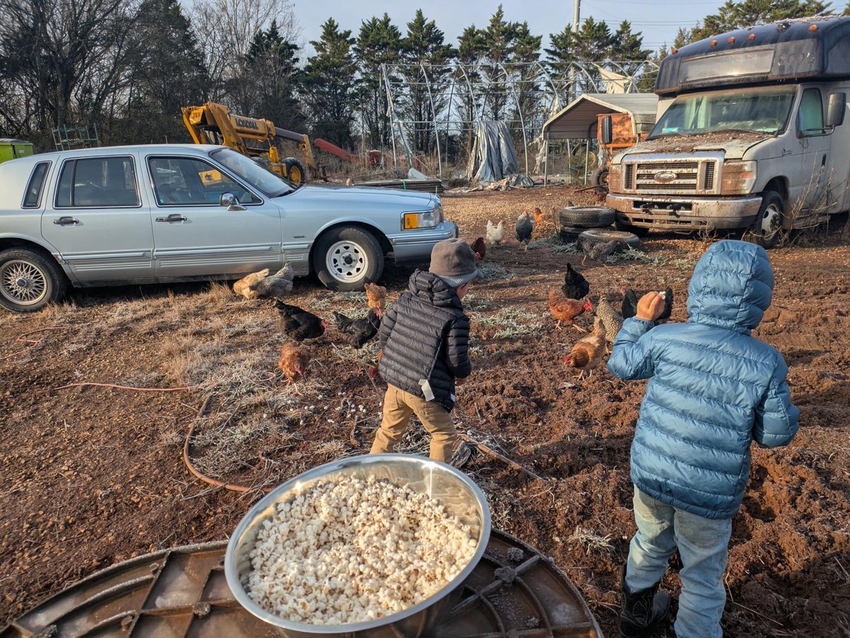 mroppizzi's tweet photo. So y’all know, this is what a real country store parking lot looks like. https://t.co/DVn4oes25y