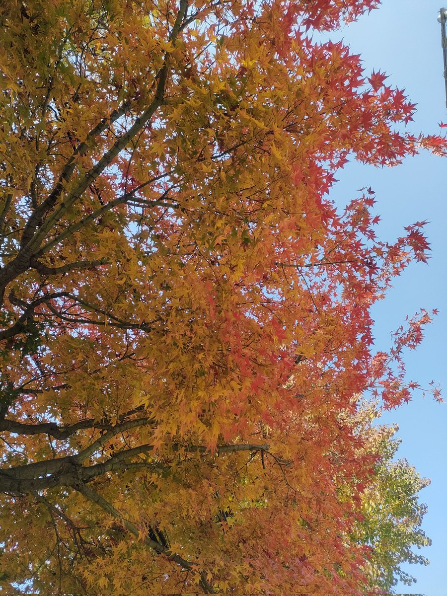 chihihooooon (@chihihoooon) / Posts / X