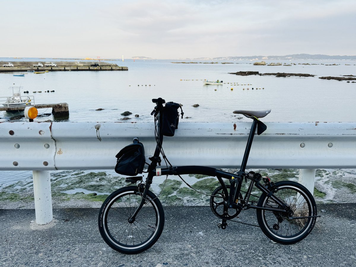 🚲Oy🚲 tweet media