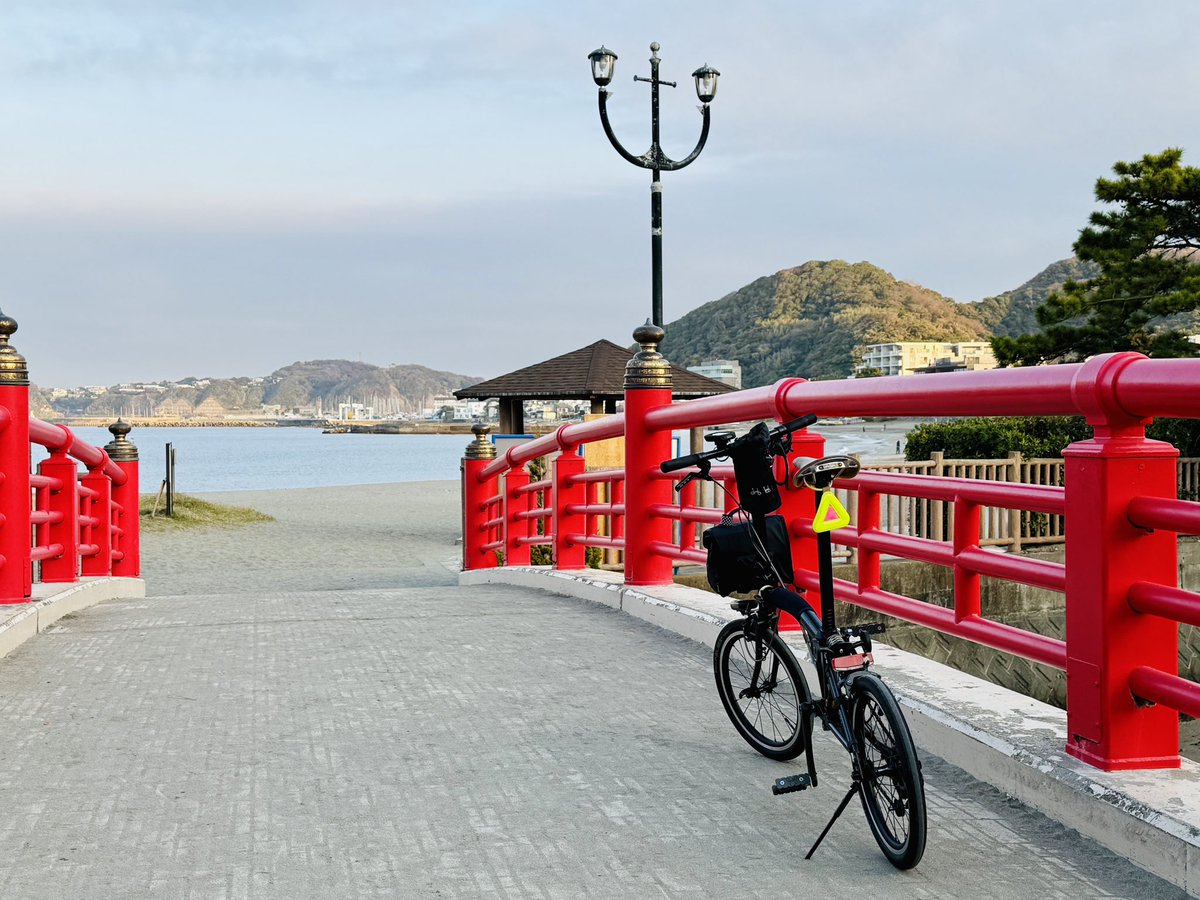 🚲Oy🚲 tweet media