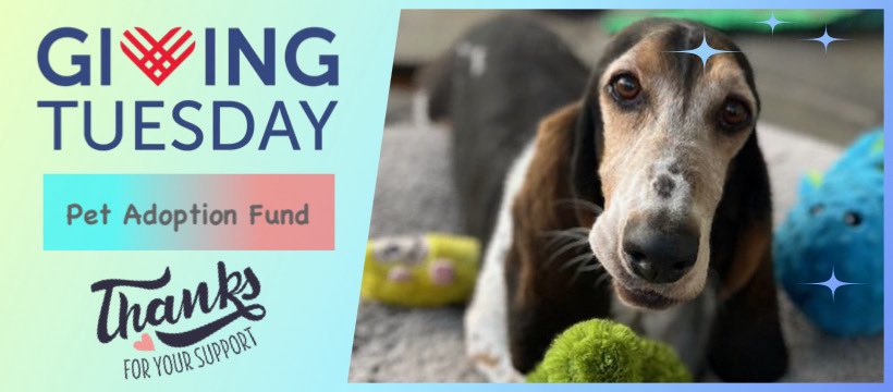 Pet Adoption Fund tweet media