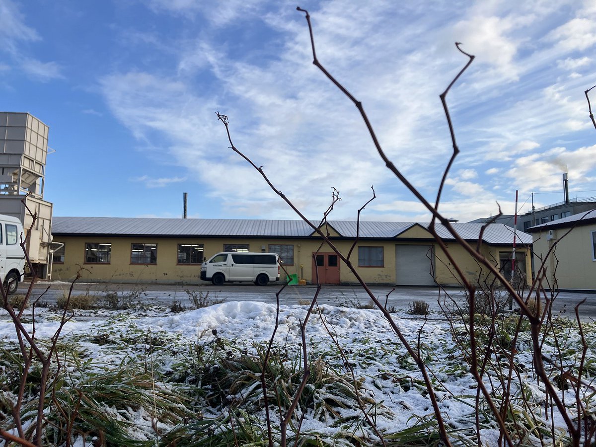 cosine_com's tweet image. 「青空に包まれた冬の朝。コサインで迎える“心ほぐれるひととき” 」
Ｎo.4035　2025年12月2日（火）（-2℃⇒4℃）晴
今朝の旭川は、雲ひとつない青空が広がり、
澄んだ空気に思わず深呼吸したくなるような、清々しい朝です。
昨日は突風が吹き荒れ、コサインの雪かき道具が
x.gd/nGwtP