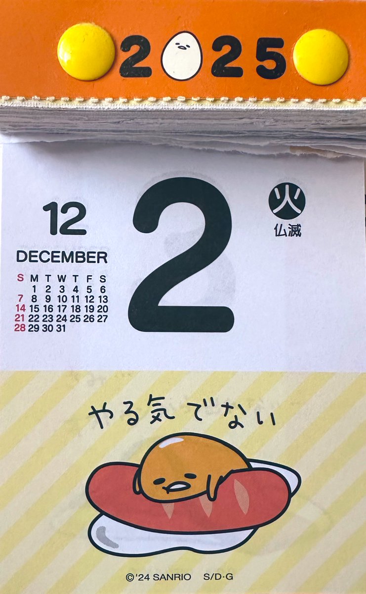 cootee🐈‍⬛ハンドメイド布小物販売中！ (@cootee14) / Posts / X