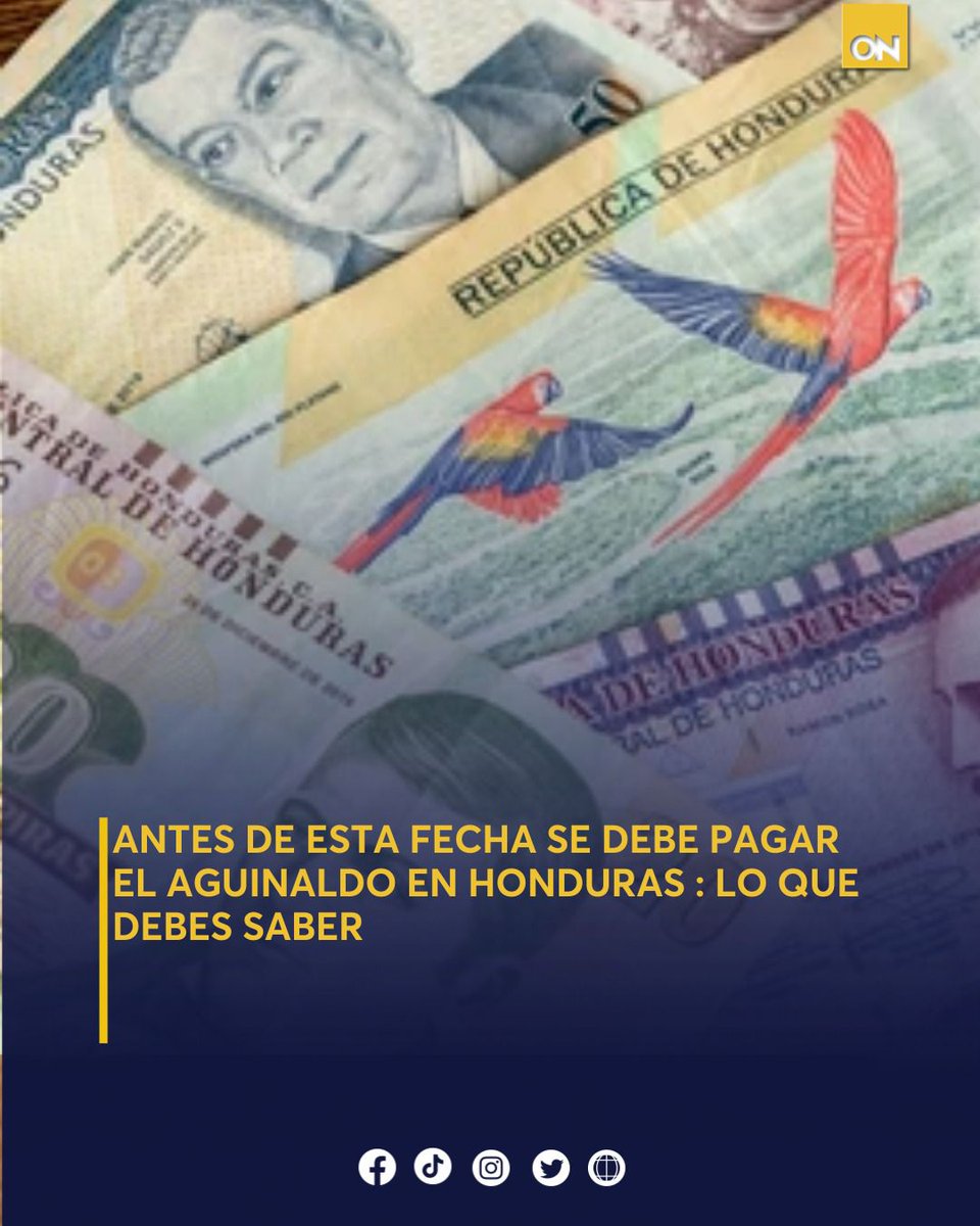 canal11hn's tweet photo. 👷Conoce los plazos y derechos del aguinaldo en Honduras: lo que todo trabajador debe saber 💰
Los detalles aquí 👉https://t.co/uYoQG9504z
#Aguinaldo2025 #Derechos #FechaLimite https://t.co/r5OyQXjZPn
