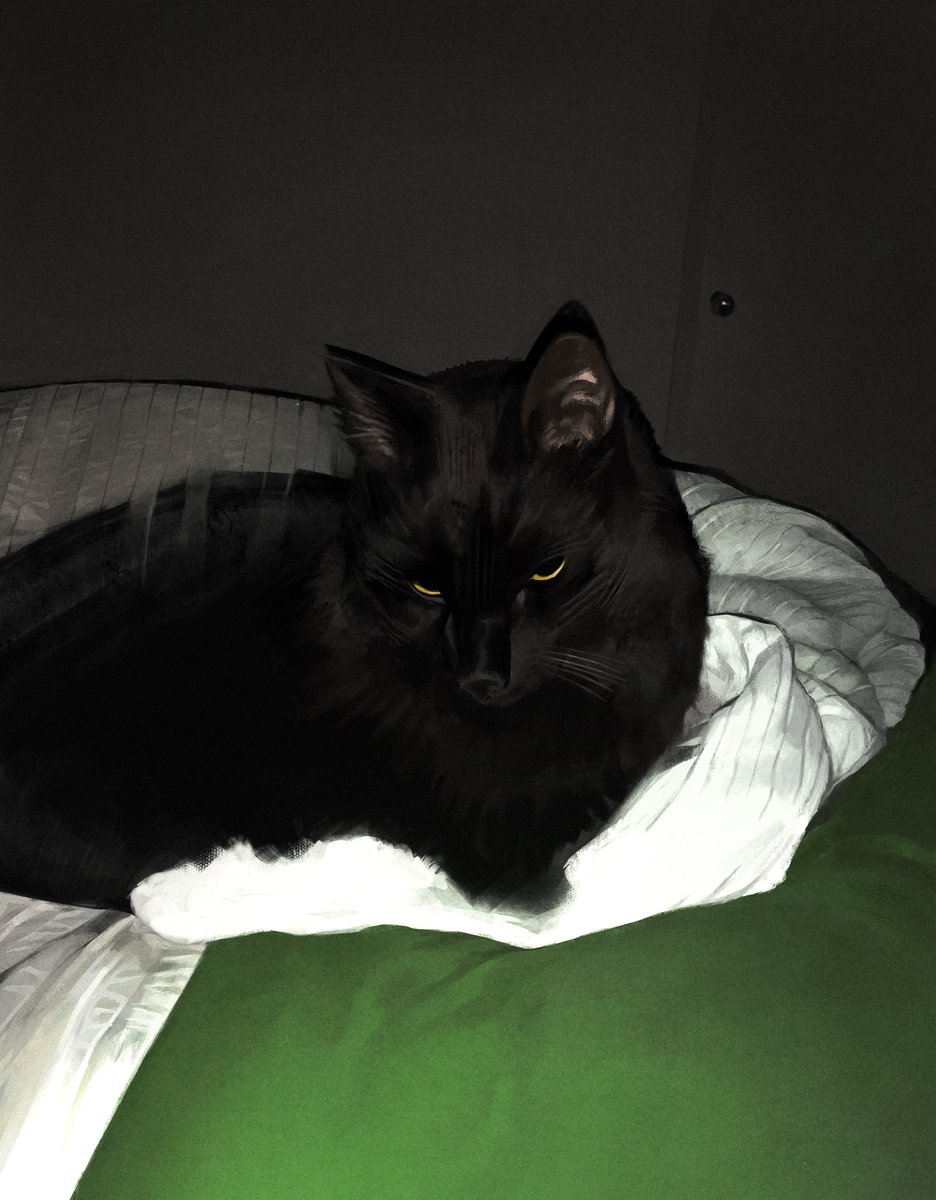 painted a cat for the first time