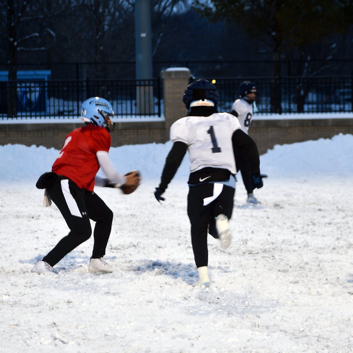 Peacock Athletics tweet media