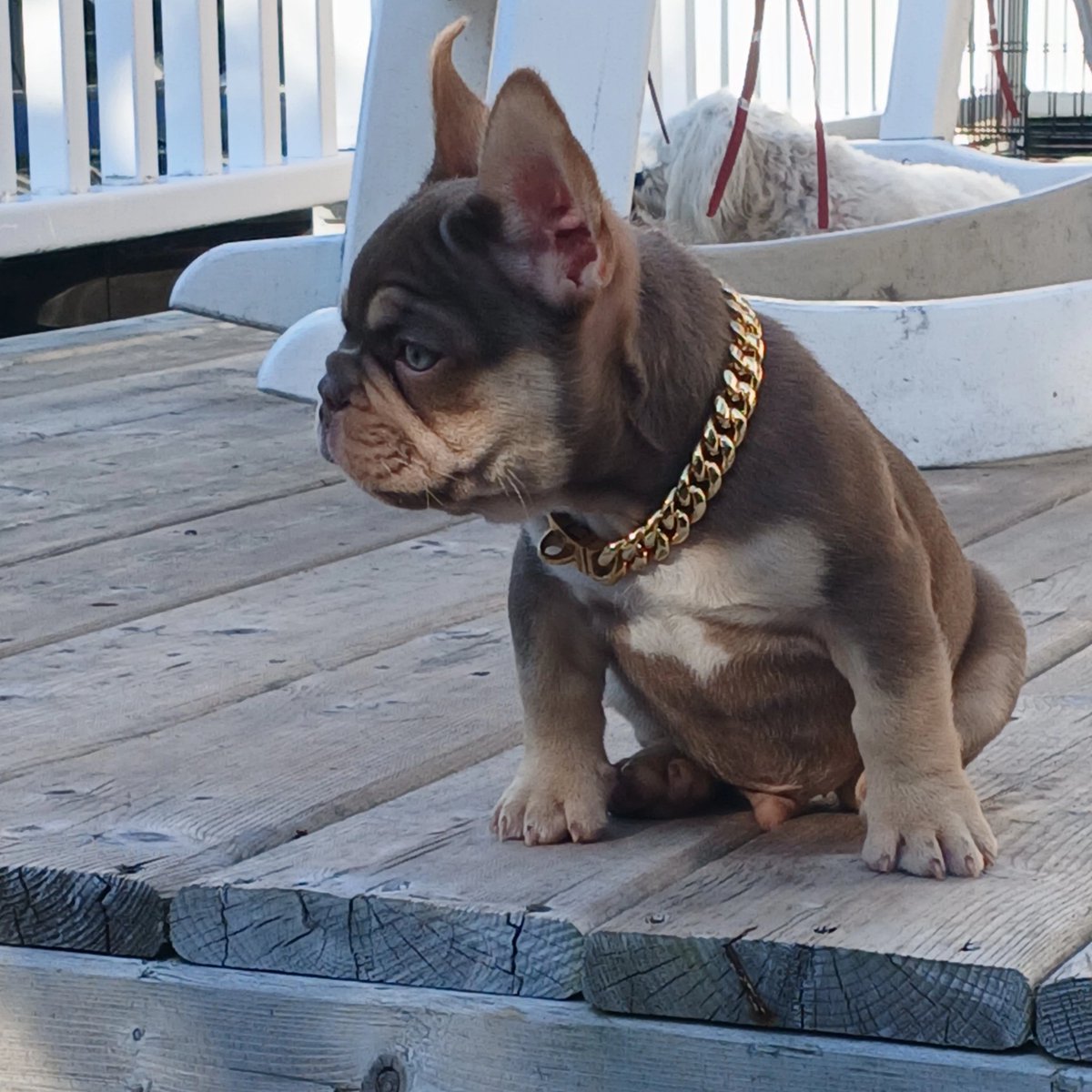 𝔈𝔱𝔥𝔞𝔫𝔰𝔥𝔬𝔯𝔱𝔷 (@ethanshortz) on Twitter photo 