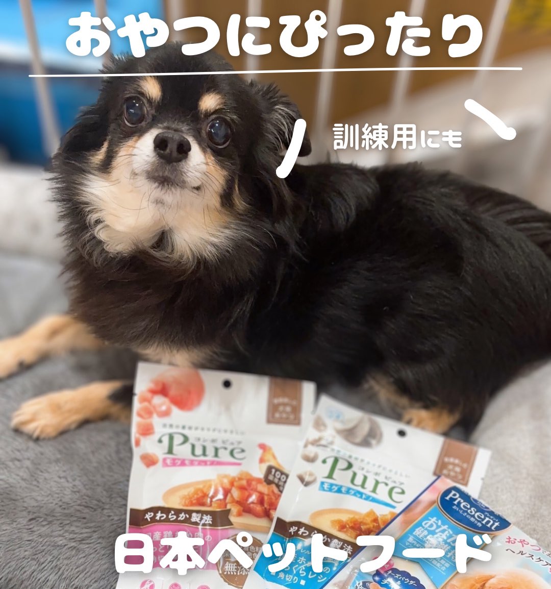 ほりち (@horichi1011) / Posts / X