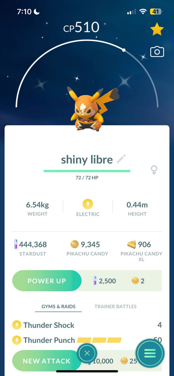 God of Rowlet tweet media