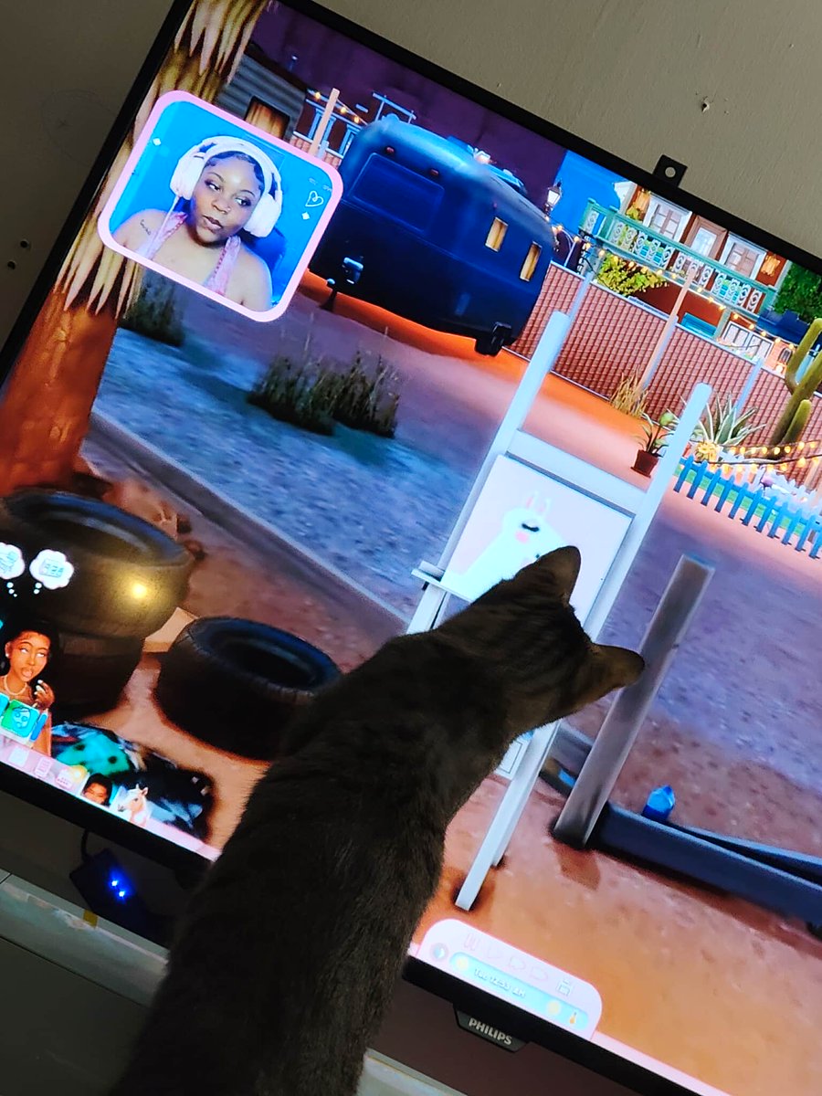 SimanthraJP's tweet image. Not my cat trying to take over the tv while I'm catching up on @XureilaYT's runaway teen challenge 😒