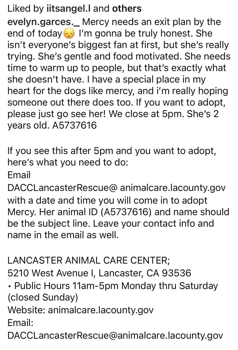 SarahjaneGille1's tweet image. We Have 🆘🆘🆘 TODAY after 5pm #LA time @AnimaLancaster 🆘🆘 MERCY  #A5737616 2yrs Details what to do NOW 🙏 #Save #Adopt #RESERVE with EMAIL ⬇️⬇️⬇️⬇️⬇️🆘🆘🆘🆘🆘